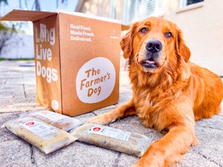 farmers-dog-cyber-monday-feature-image-2025-1