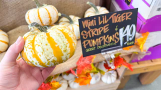 trader-joes-sept-3