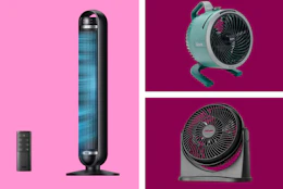 fans in a collage