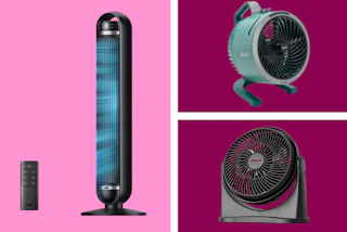 fans in a collage