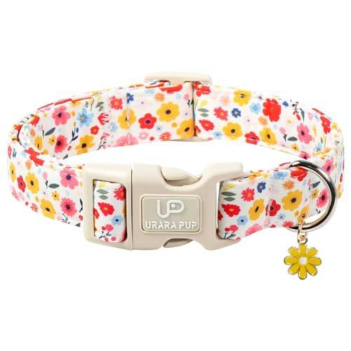 Floral Dog Collar