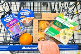 groceries in an albertsons shopping cart