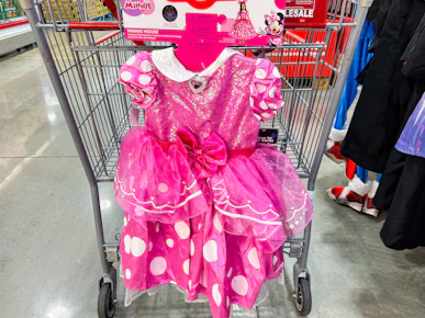 Disney Kids' Minnie Mouse Costume