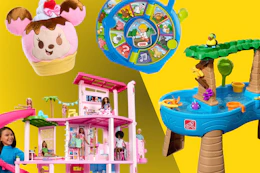 Disney plush, Fisher Price toy, Step2 water table, Barbie Dreamhouse