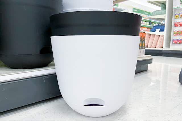 Self-Watering Planters on Sale for 50% Off at Target (Best 2024 Price) card image