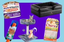 Amazon Deals Pet Parents Will Love: Treats, Toys, Furniture, and More card image