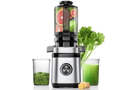 Cold Press Juicer