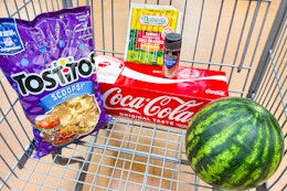 tostitos, coca-cola, nathan's, watermelon, mccormick products in a shopping cart