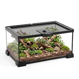 Glass Reptile Terrarium