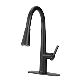 Allen + Roth Kitchen Faucet