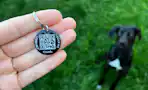 crumb smart pet tag