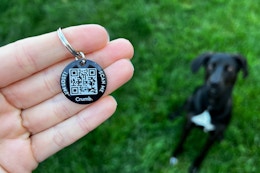 crumb smart pet tag