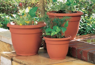stock photo of bloem self watering plant pots on patio steps