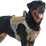 Dog Harness