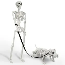 Lighted Human & Dog Skeleton Set
