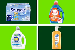 4 household products: Snuggle, Persil, all & Dial