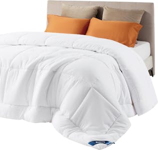 Queen-Size Duvet Insert