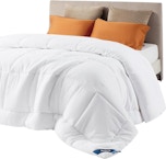 Queen-Size Duvet Insert