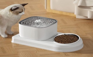 amazon cat water fountianjpg 1683740142 1683740143