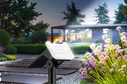 solar spot light shining over flowers
