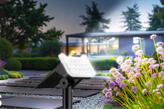 solar spot light shining over flowers