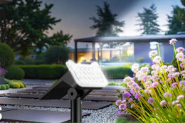 solar spot light shining over flowers