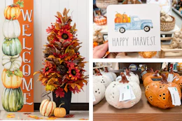 retail-seasonal-fall-1