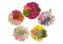 Floral Bouquet