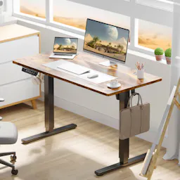 Standing & Height-Adjustable Desk