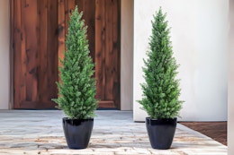 Set of Realistic Artificial Cedar Trees, Only $44.49 at Walmart (Reg. $90) card image