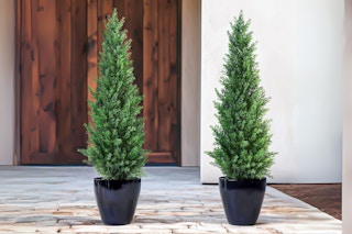 DR-Planzen-artificial-cedar-trees-walmart
