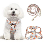 Small Dog Harness and Leash Set