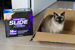 Arm & Hammer 18-Pound Cat Litter Boxes Are Under $12 on Amazon card image