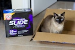 a cat sitting in an amazon box next to a box of slide Arm & Hammer litter