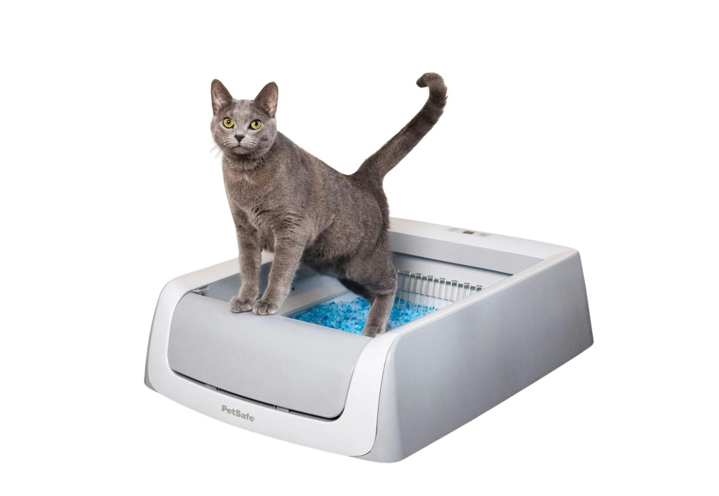 PetSafe Self-Cleaning Litter Box