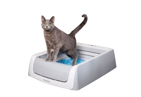 PetSafe Self-Cleaning Litter Box