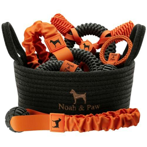 Noah & Paw Dog Toy Gift Basket 5-Pack