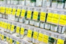 Nature's Bounty vitamins aisle shot
