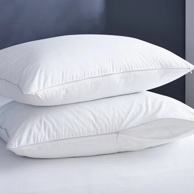 Pillow and Pillow Protector Set