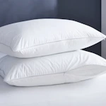 Pillow and Pillow Protector Set