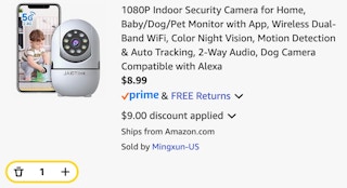 Indoor Security Camera