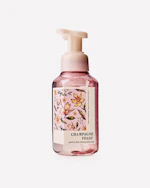 Bath & Body Works Foaming Hand Soap