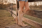 Walmart women's western boots