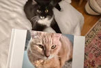 Custom Hardcover Photo Book Cat