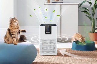 a air purifier in a room with cats