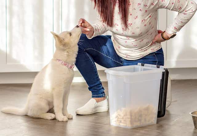 Airtight 10-Pound Pet Food Container, Only $10 on Amazon card image