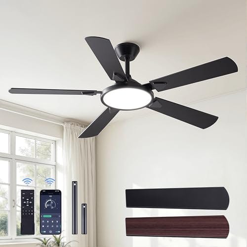 Ceiling Fan with Light
