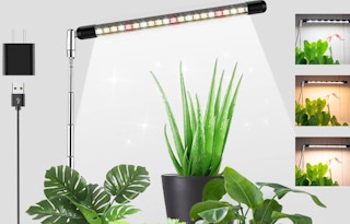 amaozn grow light formula image 1678116397 1678116397 e1678118182813