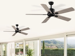 two ceiling fans in a room with windows