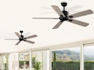 two ceiling fans in a room with windows